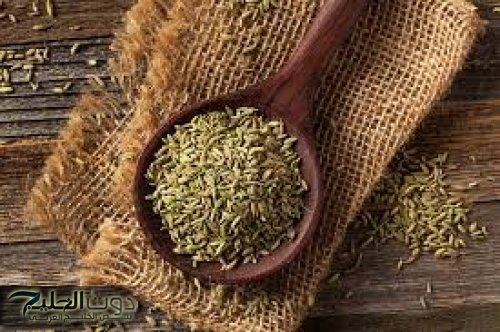 اليانسون: العلاج الطبيعي الفعال لآلام القولون والإمساك