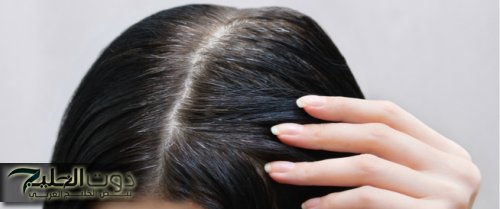 وصفة طبيعية للتخلص من الشعر الأبيض في 3 أيام