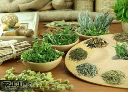 عشبة الإسبغول: السر السحري لخسارة الوزن دون ريجيم أو رياضة