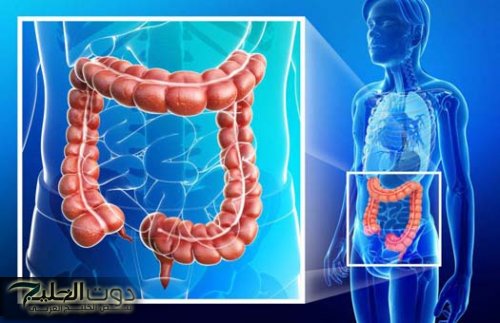 طرق طبيعية لتنظيف القولون وتعزيز صحته