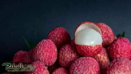 شجرة الليتشي: السر السحري لتأخير الشيخوخة وتعزيز الصحة