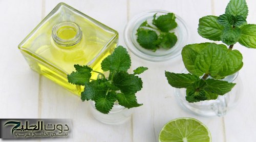 فوائد زيت المليسا: التخلص من الوزن الزائد وتحسين الصحة