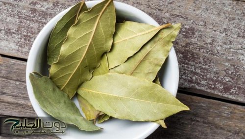 ورق الغار لحرق الدهون بشكل طبيعي