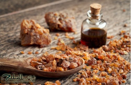 فوائد شرب المر على الريق: تعرف على الأمراض التي يعالجها