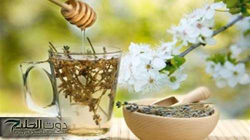 فوائد اليانسون للقولون: علاج طبيعي مذهل لألم المعدة