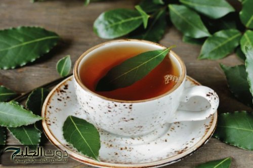 ورق الغار: العشبة السحرية للتخلص من الكرش وحرق الدهون