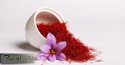 الزعفران: الذهب الأحمر وأسرار فوائده الصحية
