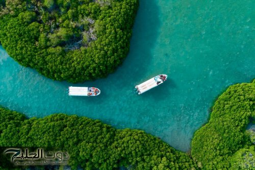 اكتشف أجمل الأماكن السياحية في جازان