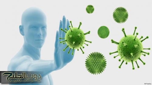 الفيروسات تهدد صحتك.. كيف تحمي نفسك بتعزيز مناعتك؟