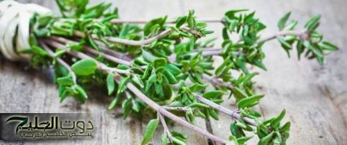 تقوية الذاكرة بأفضل الأعشاب الطبيعية