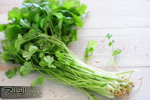 العشبة السحرية لتنظيف القولون بسرعة وتحسين الهضم بشكل طبيعي! ستدهشك النتيجة!