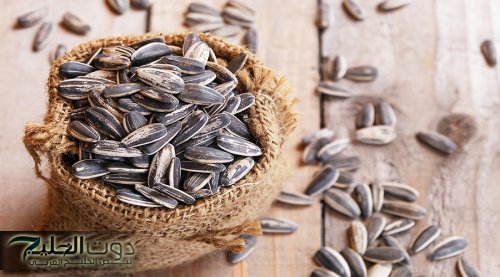 اللب السوري: سر صحي مذهل يغير حياتك 180 درجة!