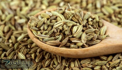 عشبة سحرية في كل مطبخ تساعد على فقدان الوزن بسرعة! الملكة رانيا تكشف السر