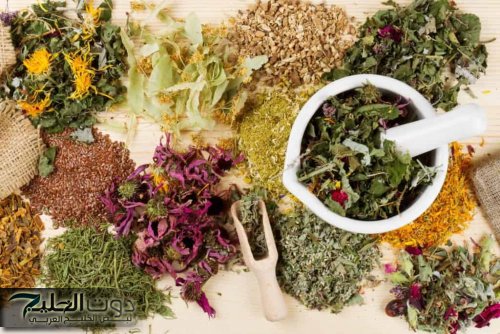 عشبة طبيعية في مطبخك: سر تنظيم السكر وخسارة الوزن وعلاج الإمساك