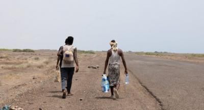 أخبار اليمن : 15 ألف مهاجر أفريقي وصلوا اليمن في شهر