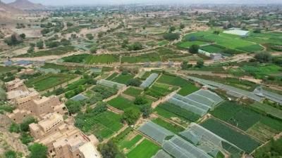 أخبار اليمن : الصقيع يعود.. الفلكي الشوافي يطلق تحذير عاجل للمزارعين