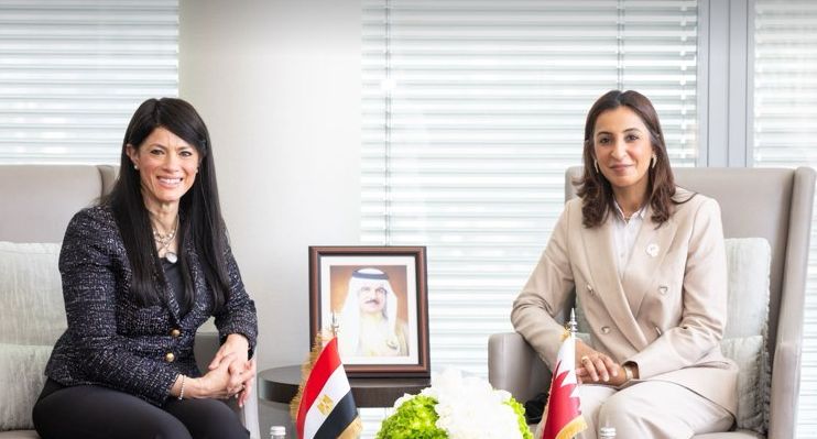 مصر والبحرين تبحثان تعزيز الشراكة وتبادل الخبرات في مجال…