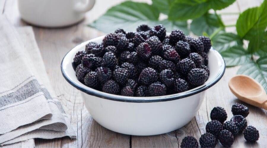 لعلاج نقص الماغنسيوم.. تناولي هذه الفواكه يوميًا