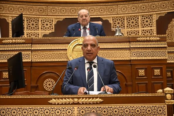 وزير الكهرباء: ملتزمون بإتاحة الطاقة بجودة واستقرار على كافة…