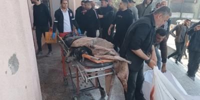 أخبار اليمن : غزة.. مجزرة إسرائيلية في بيت لاهيا