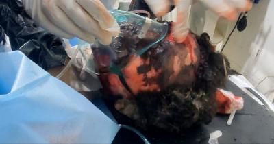 أخبار اليمن : 17 مدنياً.. العدو الأمريكي يرتكب مجزرتين في صعدة