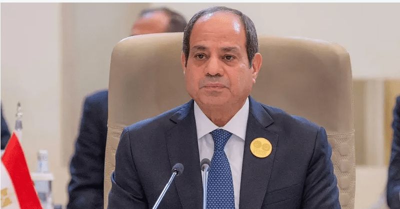 السيسي: 800 مليون دولار خسائر قناة السويس شهريا بسبب الأوضاع…