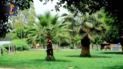 أخبار اليمن : 66 حديقة عامة لاستقبال زوار عيد الفطر بالعاصمة صنعاء