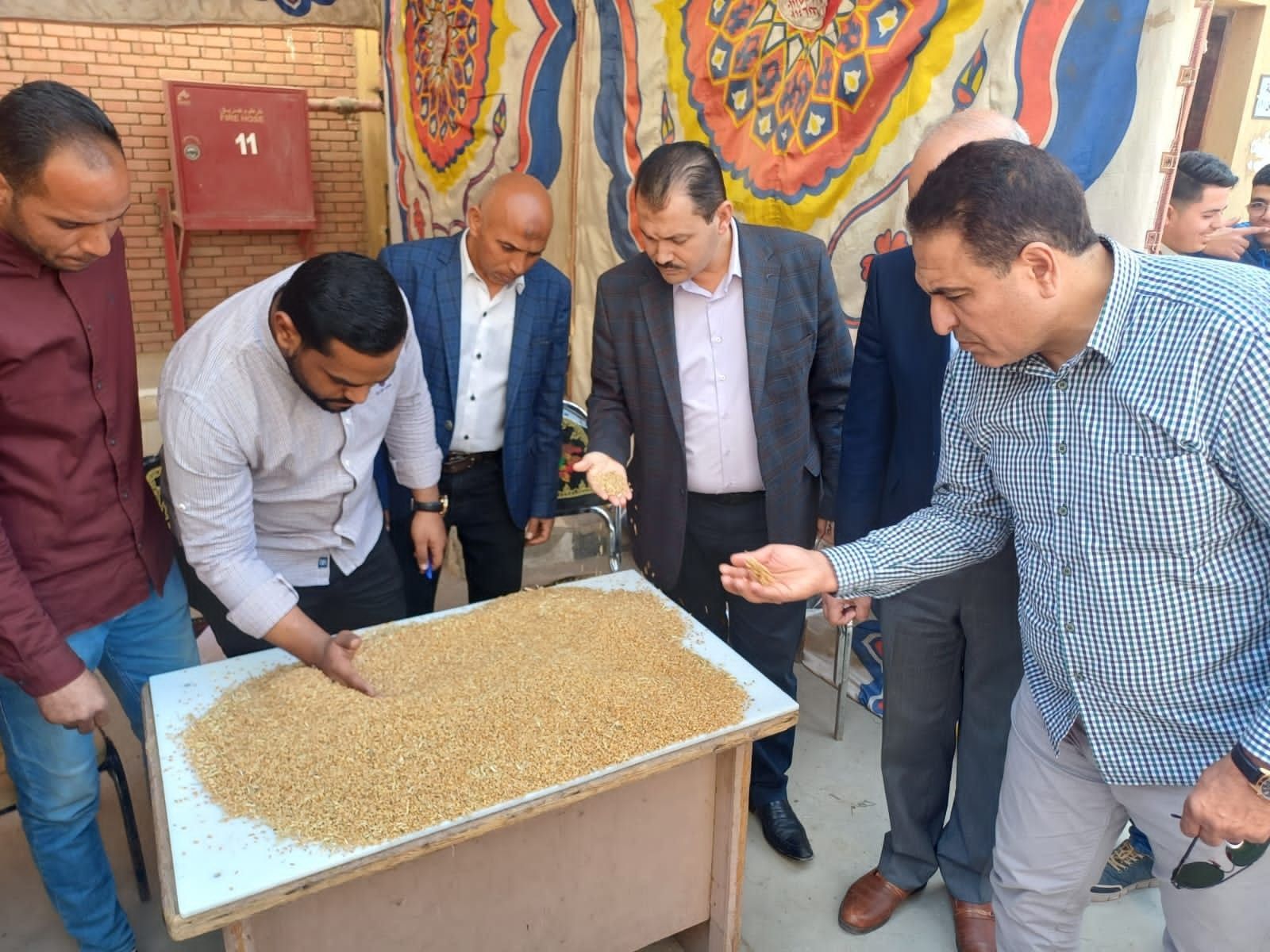 بدء موسم توريد القمح المحلي مبكرا من صومعة طامية بالفيوم…