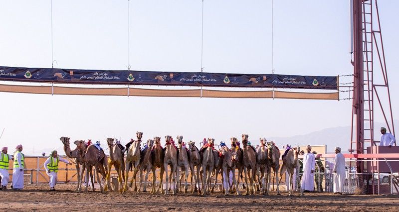 عشرون شوطا لفئة اللقايا فـي منافسات اليوم الثاني بمضمار الفليج ببركاء