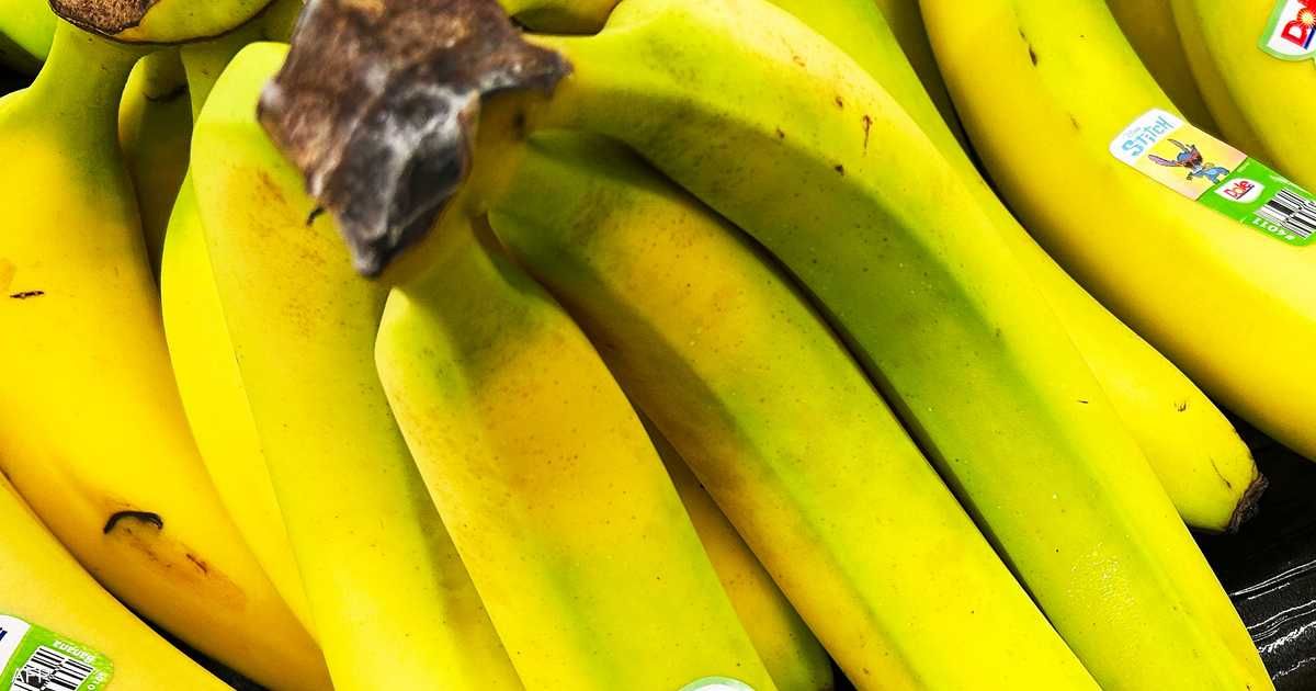 العالم اليوم - فوائد مذهلة.. ماذا يحدث إذا أضفت قشر الموز إلى غذائك؟