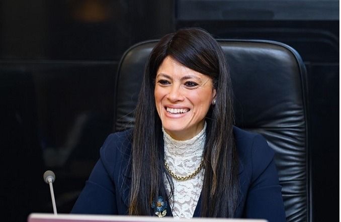 وزيرة التخطيط: نسعى إلى تحويل هيكل الاقتصاد المصري نحو…