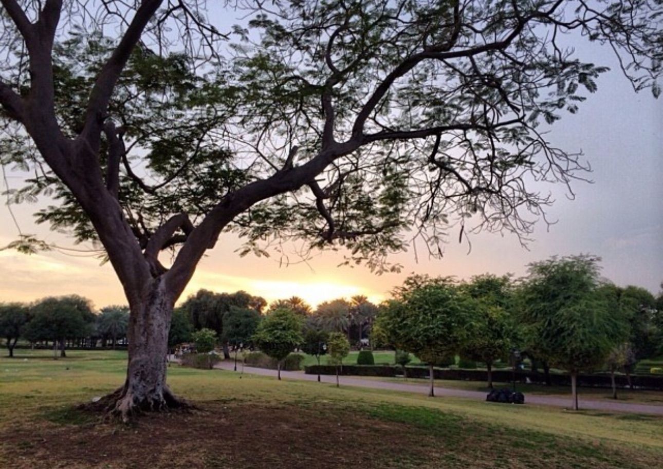 لتعزيز رشاقتكِ وجمالكِ على الدوام: إليكِ أفضل مسارات المشي والجري في دبي