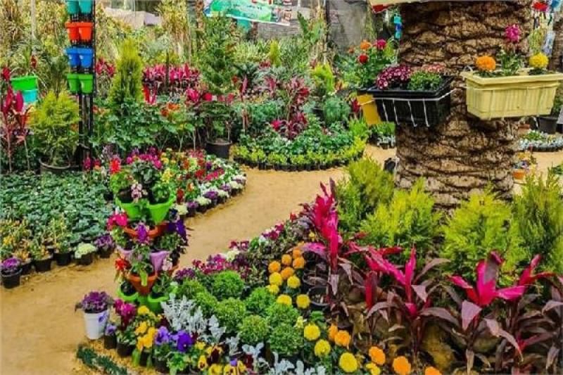 معرض زهور الربيع ينطلق بنسخته الـ92 نحو العالمية بمشاركة الفاو لأول مرة