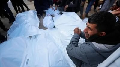 أخبار اليمن : ارتفاع عدد شهداء غزة إلى 51495