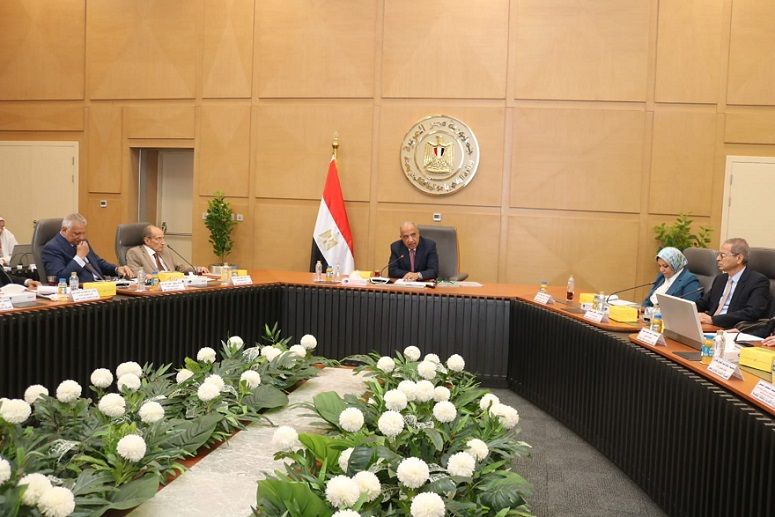 إقرار فصل الشركة المصرية لنقل الكهرباء عن القابضة