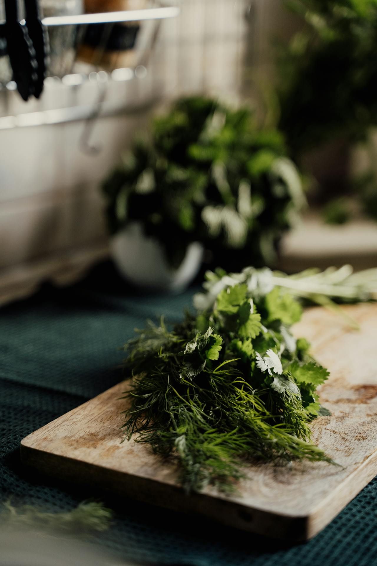 صندوق من الكنوز الطبيعية لإنقاص الوزن.. إليكِ فوائد الكزبرة وطريقة استخدامها