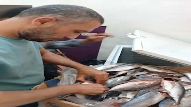 بالتعاون مع الجهات المعنية .. ضبط 14 طن من اللحوم والدواجن غير...