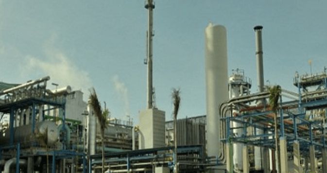 المصرية للأسمدة تصدر 1.2 مليون طن من اليوريا سنويا