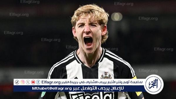 متى تقام مباراة نيوكاسل ضد برايتون في الدوري الانجليزي