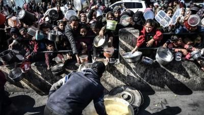 أخبار اليمن : الأمم المتحدة: الموت يهدد فلسطينيي غزة