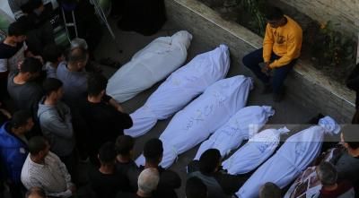 أخبار اليمن : ارتفاع حصيلة شهداء غزة إلى 53010