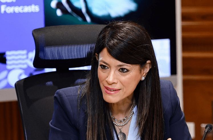 المشاط: المساواة بين الجنسين في سوق العمل قد يرفع الناتج…