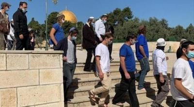 أخبار اليمن : مستوطنون يقتحمون المسجد الأقصى