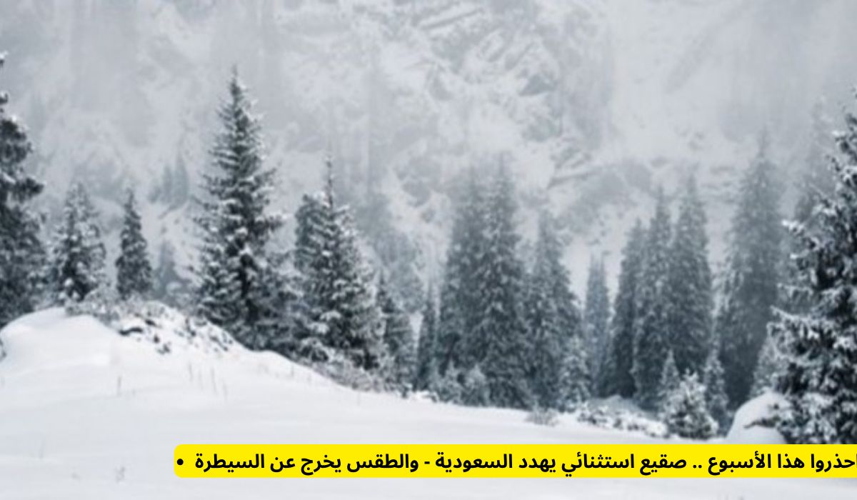 احذروا هذا الأسبوع .. صقيع استثنائي يهدد السعودية - والطقس يخرج عن السيطرة