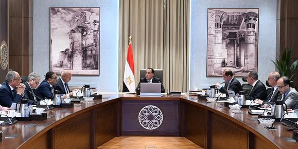 الحكومة: الإفراج عن بضائع بقيمة 105 مليار دولار منذ يناير…