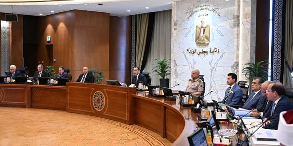 برنامج حكومي جديد لدعم صناعة السيارات في مصر ورفع الإنتاج…