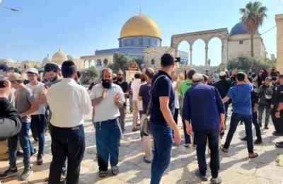 أخبار اليمن : 288 مستوطنا يقتحمون المسجد الأقصى