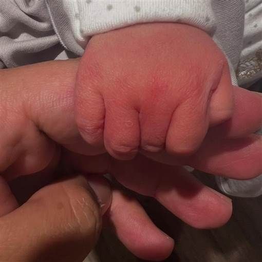 إيمي سمير غانم وحسن الرداد يرزقان بطفلة واختارا لها هذا الاسم أعلن الفنان حسن الرداد عن قدوم مولوده الثاني من زوجته الفنانة إيمي سمير غانم.ونشر حسن الرداد صورة ليده وهو يم إقرأ المزيد