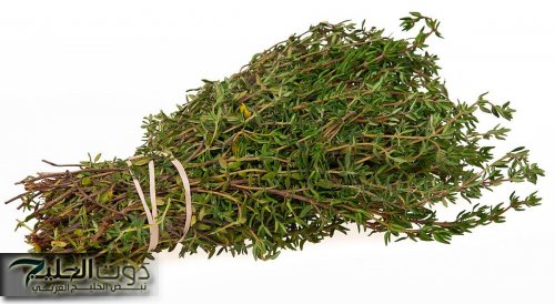 "العشبة السحرية".. تعمل على تنقية البشرة وتقليل التهابات وقتل البكتريا.. اعملها فوراً قبل فوات