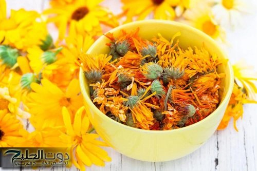 العطارين بيقولو مفعلوها يساوي كنوز .. بذور طبيعية هتحللك مشكلة كبيرة خلال أيام معدودة بس هترجع زي الحصان